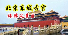 舔大美女的乳头和尿口中国北京-东城古宫旅游风景区